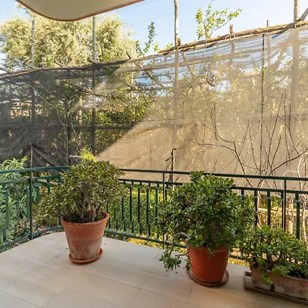 Yourhome - Aranci Prestige * ソレント